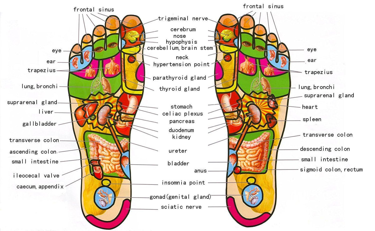 Wooden Foot Massage Roller (Foot Comfort & Relaxation)